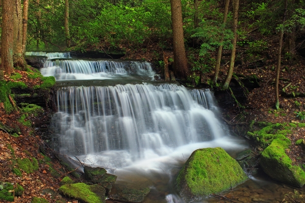 水 森 滝 クリーク
 写真