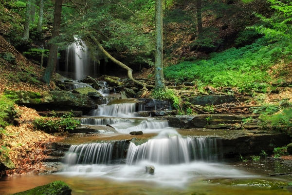 Forest waterfall creek hiking Photo