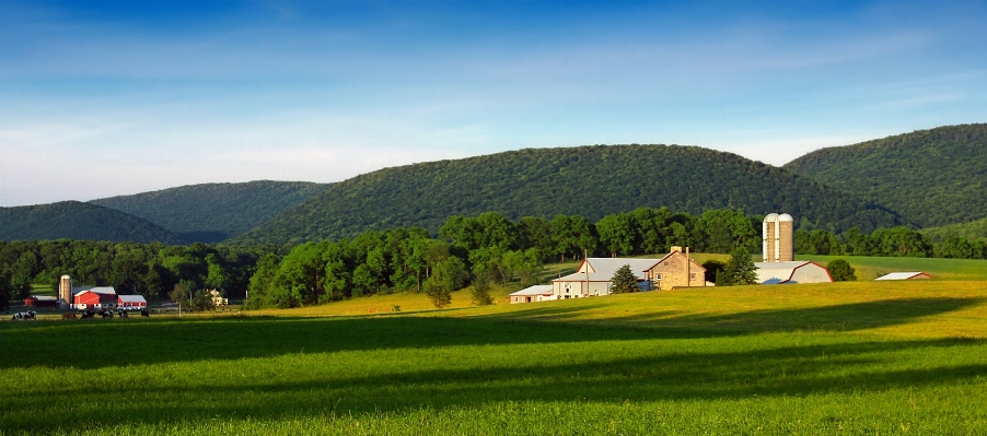 Landscape grass mountain field Photo