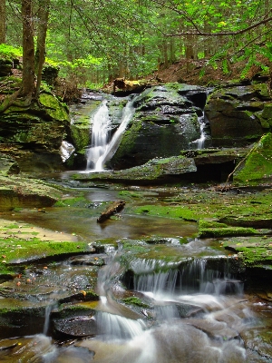 Landscape water nature forest Photo