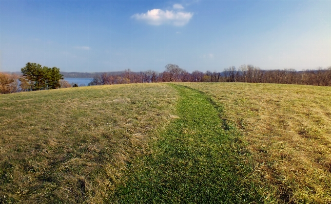 Path grass plant sky Photo