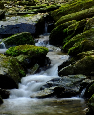 Landscape tree water nature Photo