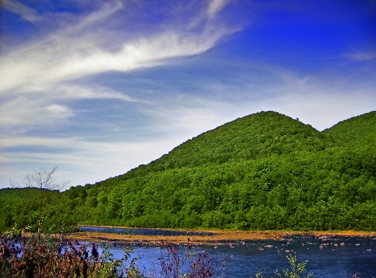 Landscape sea tree water Photo