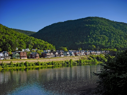 Foto Paisagem árvore água natureza