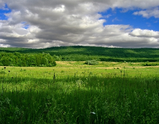 Landscape nature grass horizon Photo