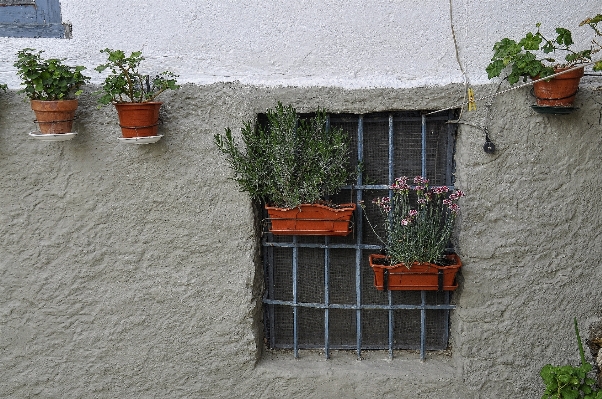 Street house sidewalk window Photo