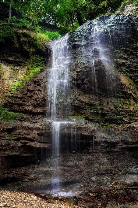 Air alam hutan terjun