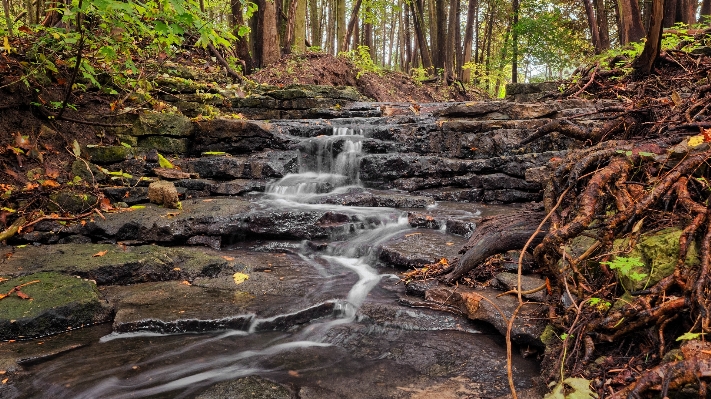 Landscape tree water nature Photo