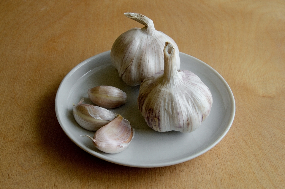 Plant dish food garlic