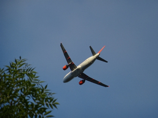 Wing sky technology fly Photo