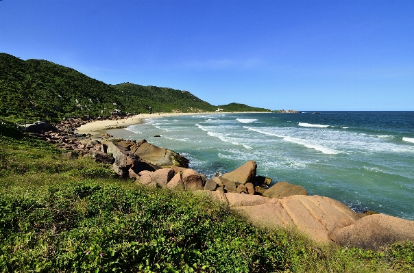 ビーチ 海 海岸 rock 写真