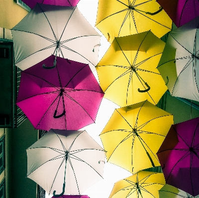 Wheel rain petal pattern Photo