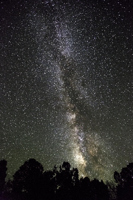 Landscape nature outdoor light Photo