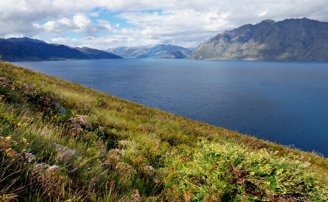 Landscape sea coast nature Photo