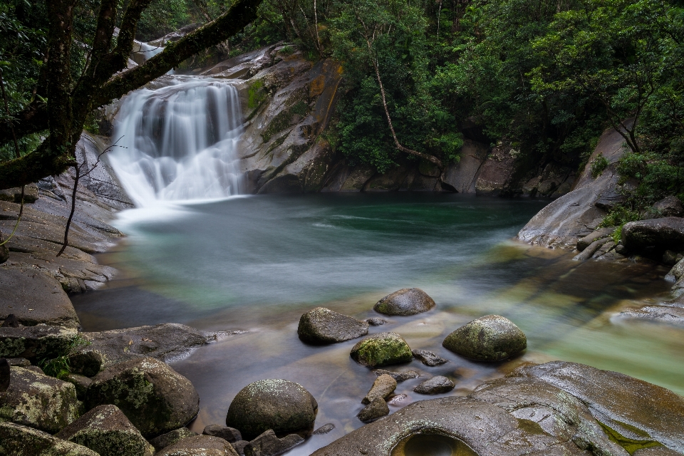 Landscape water nature forest