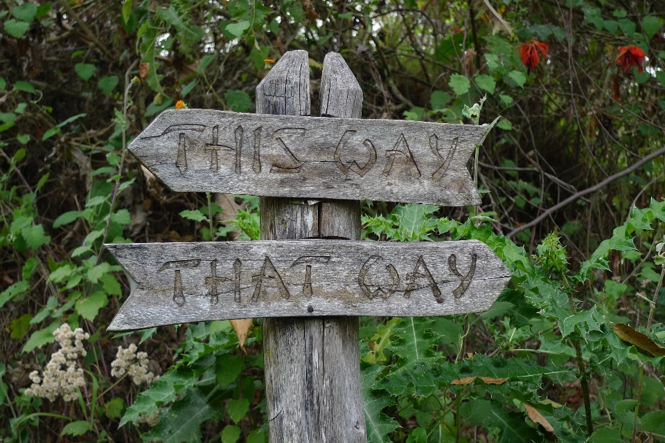 Outdoor trail sign direction