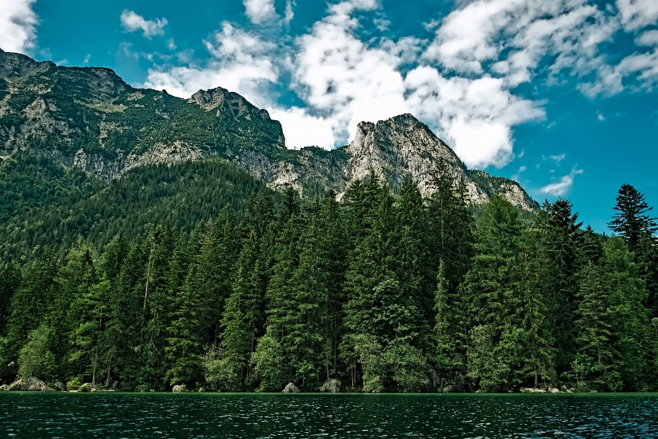 Paisaje árbol agua naturaleza