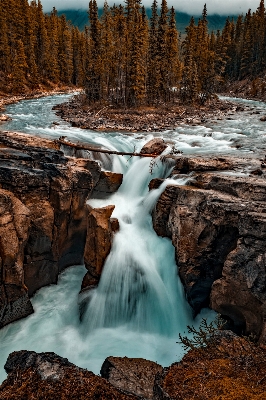 Landscape tree water nature Photo