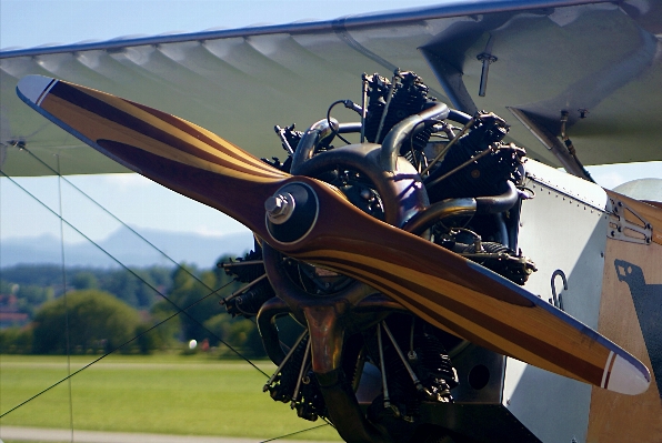 Wing wood technology car Photo