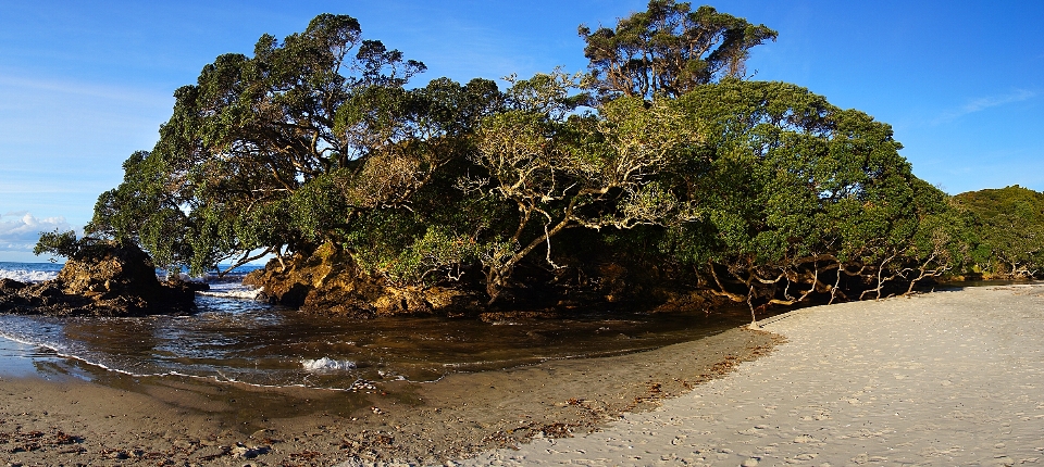 Beach landscape sea coast