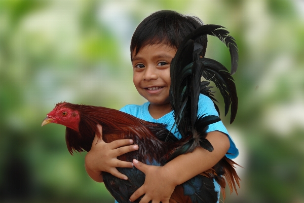 Bird animal pet child Photo