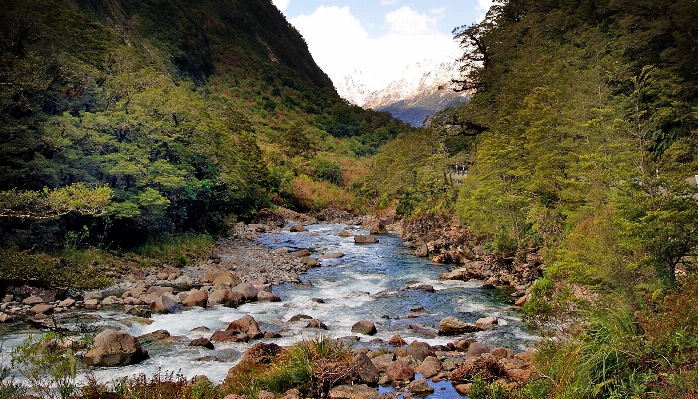 風景 自然 森 rock 写真