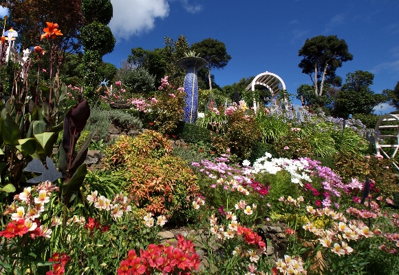 Anlage rasen blume park Foto