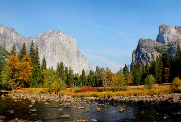 Landscape tree nature wilderness Photo