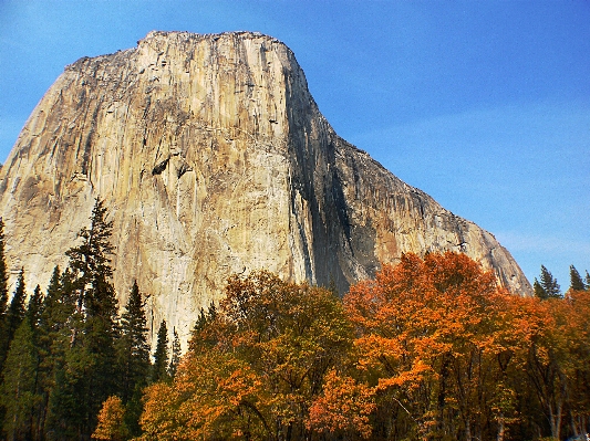 Landscape tree nature rock Photo