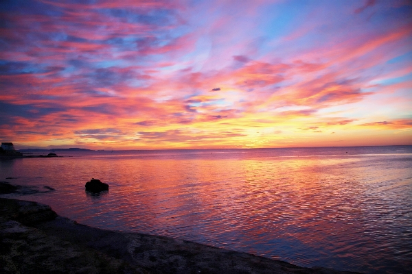 Beach sea coast ocean Photo