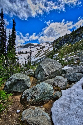 風景 木 自然 rock 写真