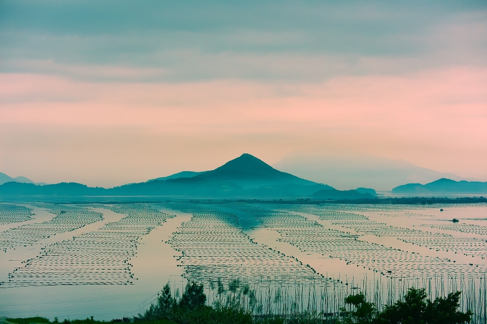 風景 海 自然 地平線