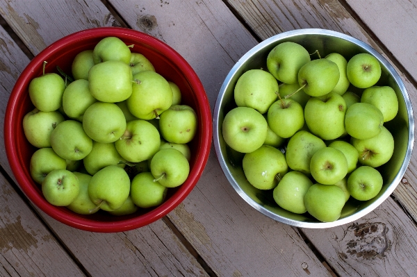 Foto Apple plantar fruta comida