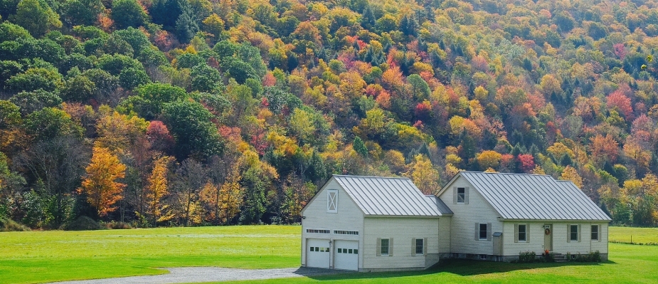 Tree forest farm meadow Photo