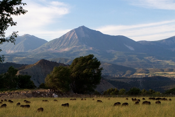 Foto Lanskap alam gurun
 gunung