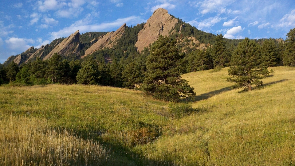 Paesaggio natura selvaggia
 montagna sentiero