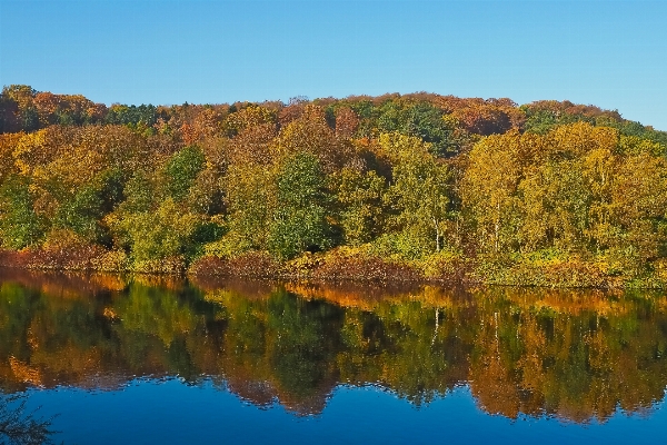 Landscape tree water nature Photo