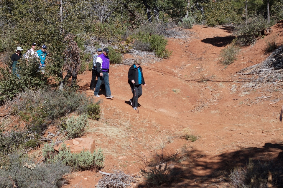 Wilderness walking hiking trail