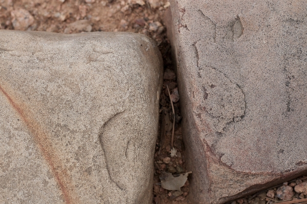 Rock wood wall soil Photo