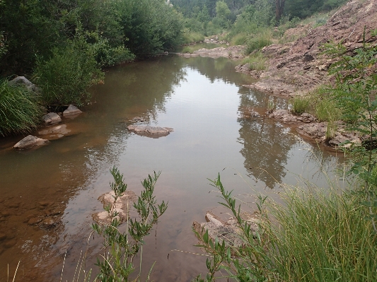 Creek river stream reservoir Photo