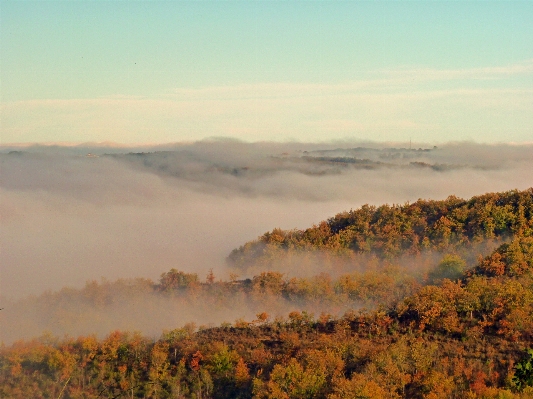 Landscape forest wilderness mountain Photo