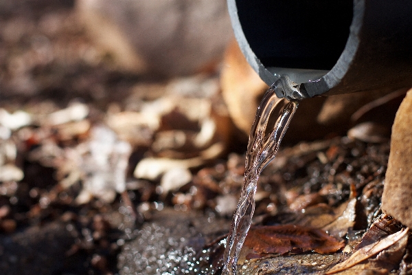 Foto Agua madera vino fotografía