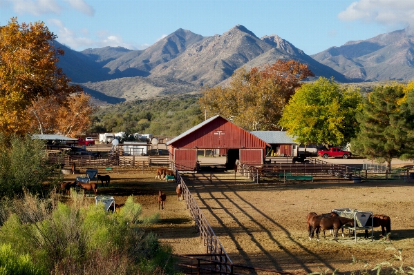 Landscape mountain lake valley Photo