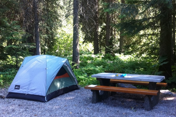 Backyard camping tent odyssey Photo