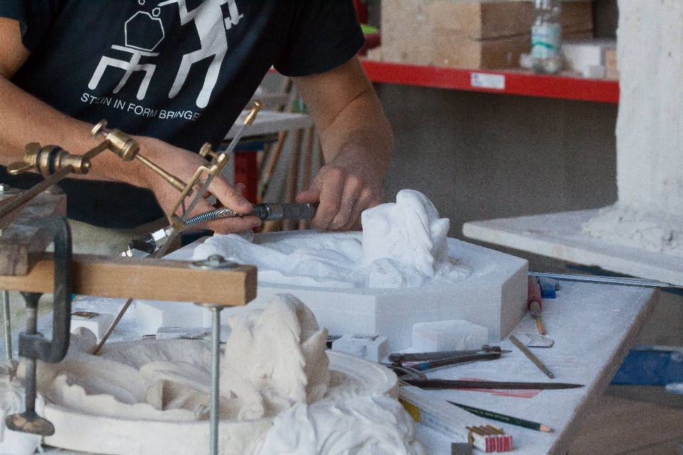 Faire le ménage usine poisson art