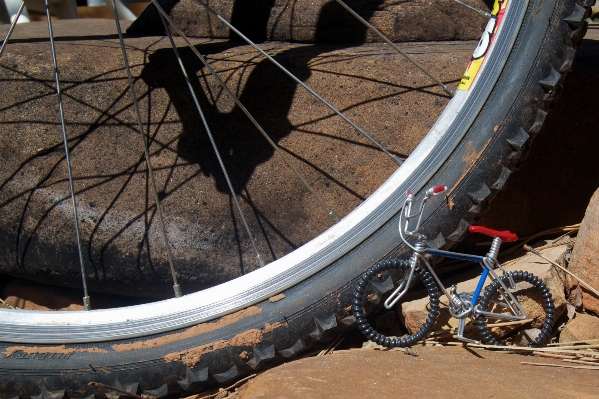 Foto Asa roda bicicleta veículo