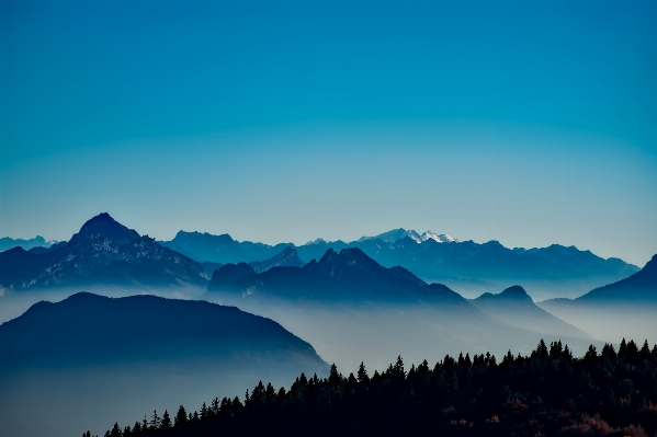 Landscape nature forest horizon Photo