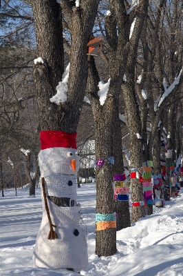 Tree nature snow cold Photo