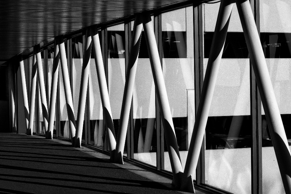 Leggero bianco e nero
 architettura