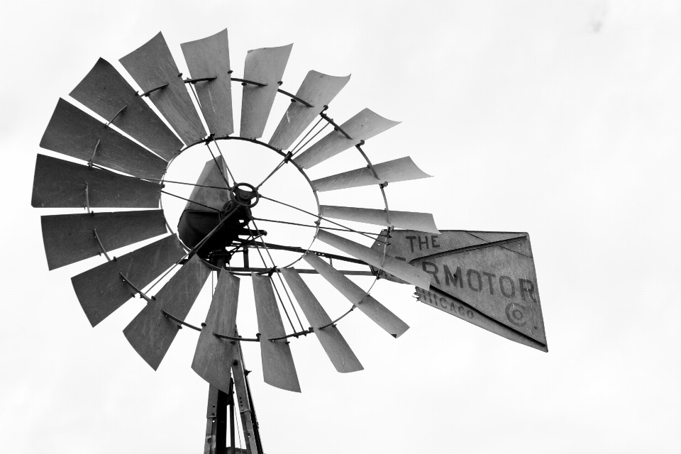 Aile noir et blanc
 roue horloge